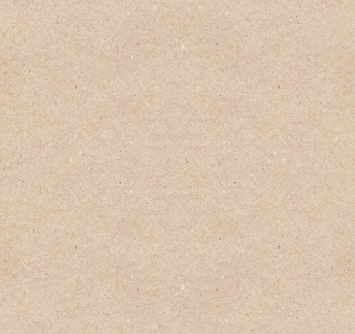 Plain beige textured paper background with subtle speckles, neutral tone, no subject